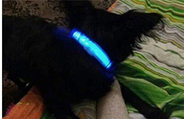 Blue, visible in the dark