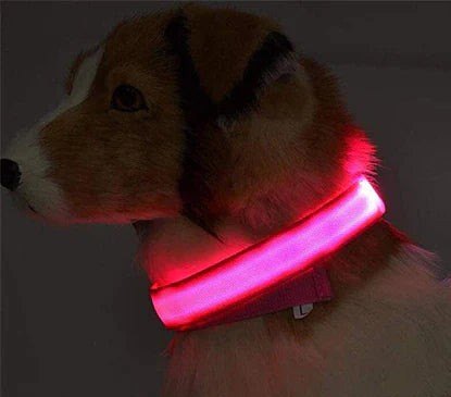 Pink, glowing at home