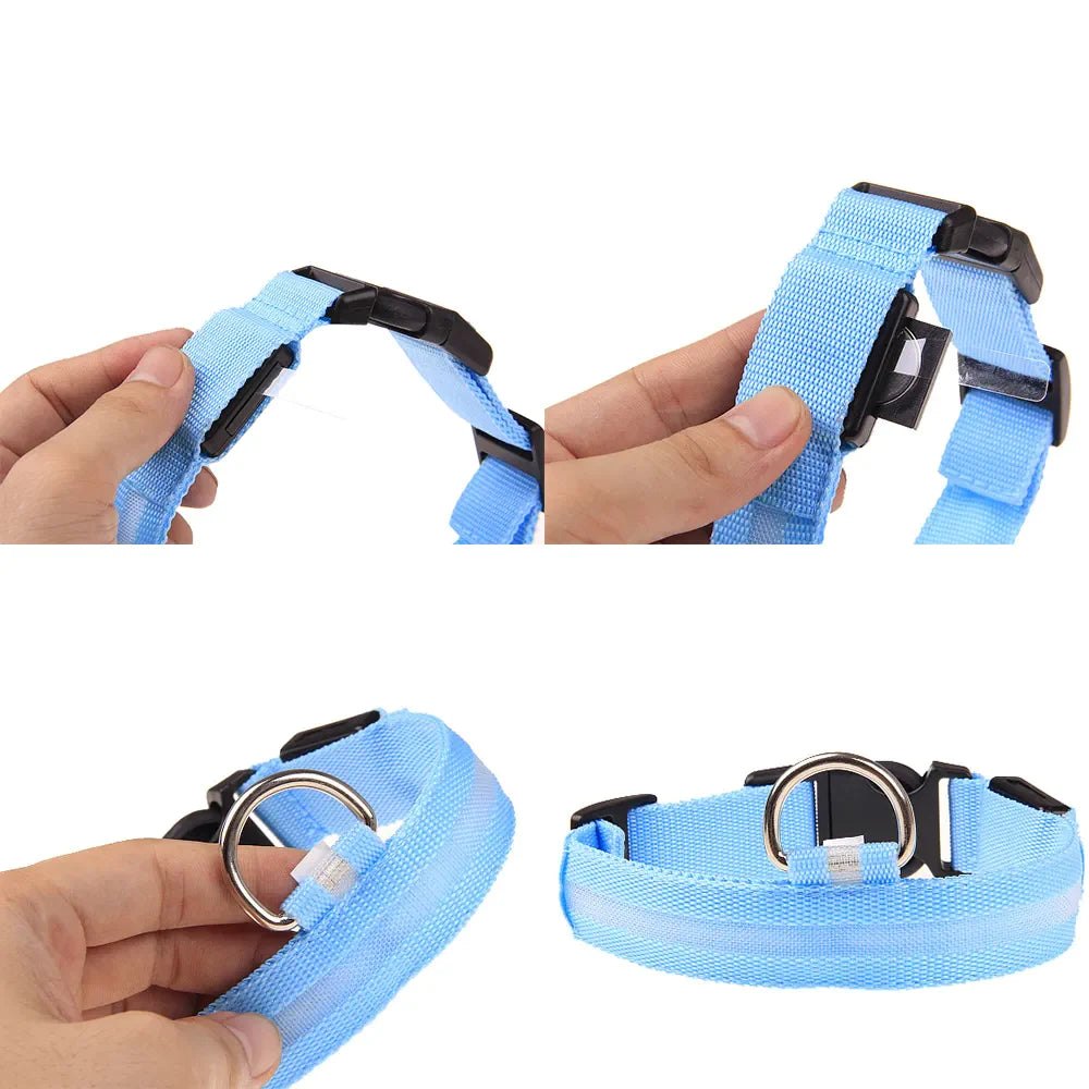 Adjustable collar in daylight