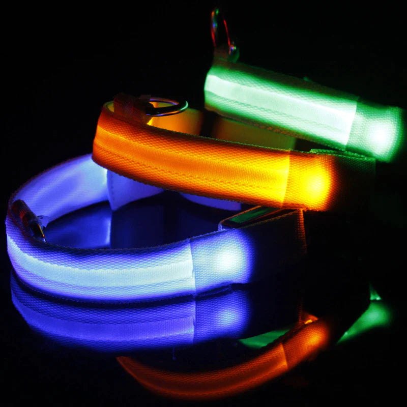 LED collars glowing in the dark