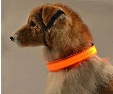 Orange looks great by day too